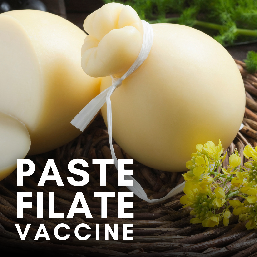 Paste Filate Vaccine